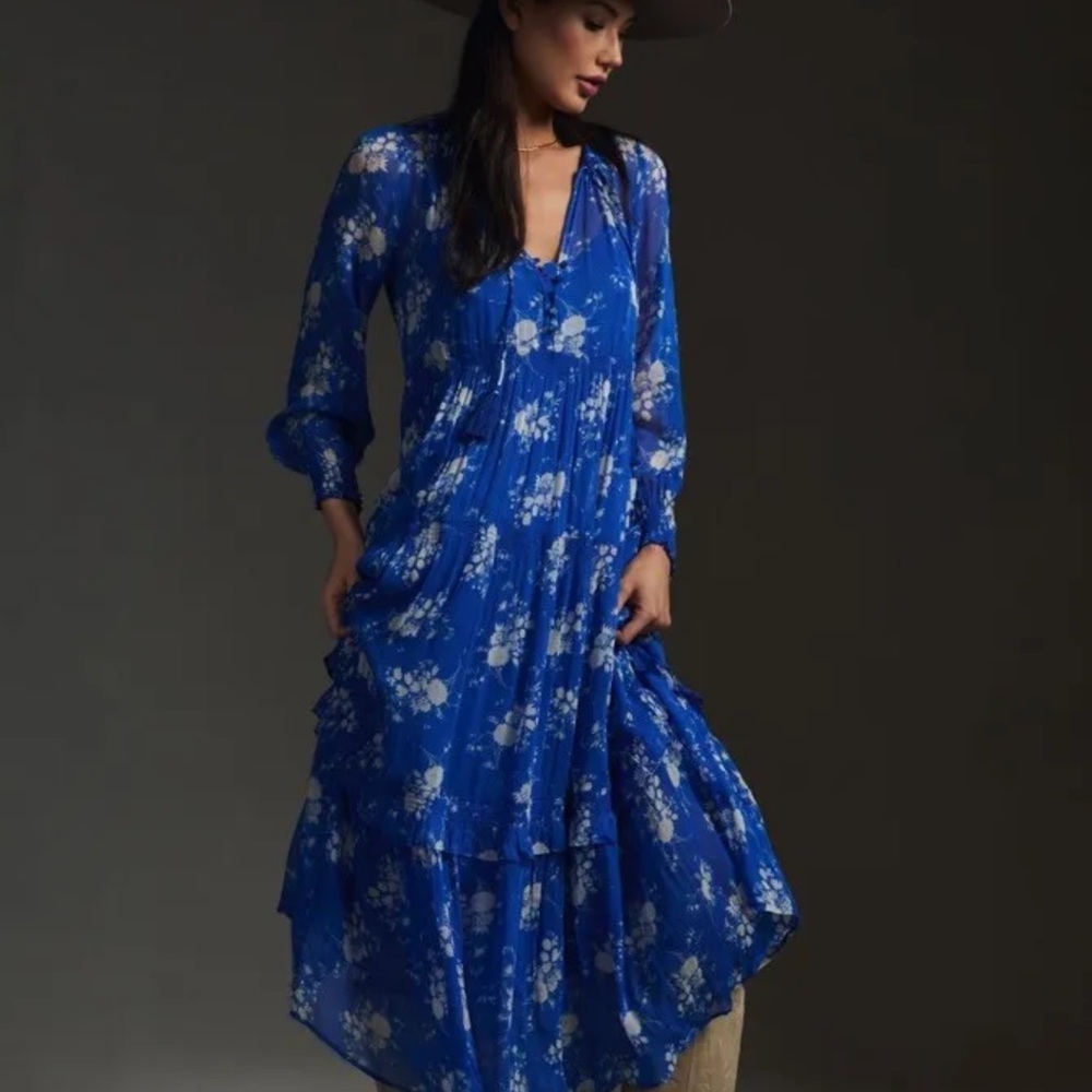 Anthropologie The Marais Printed Chiffon Maxi Dress Floral Blue Gray - Picture 2 of 7